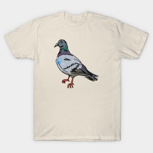 Pigeon T-Shirt